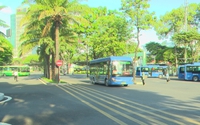 TP. Hồ Chí Minh miễn phí vé trên 134 tuyến xe buýt nội tỉnh