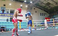 Hơn 400 võ sĩ tranh tài tại Giải vô địch Kickboxing quốc gia