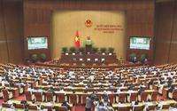 Quốc hội nghe báo cáo tại hội trường 2 dự thảo luật