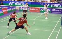 Xác định các ứng viên xuất sắc cho trận chung kết giải cầu lông Việt Nam Open