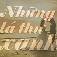 Những lá thư xanh (25/4/2026): Lời hồi đáp từ trái tim