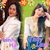 Nhịp sống Sài Gòn trưa: Sự cố về túi khí gây ra các đợt thu hồi sản phẩm hàng loạt