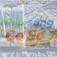 Nhịp sống cơ sở: TP. Hồ Chí Minh chỉnh trang khu Mả Lạng và Chợ Gà