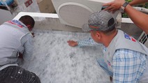 Giải pháp bền vững trong thi công các công trình công nghiệp
