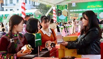 Khai mạc Ngày hội sản phẩm vùng đồng bào dân tộc thiểu số và miền núi phía Bắc