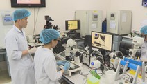 TP.HCM hiện thực hóa đề án phát triển trung tâm đạt chuẩn quốc tế