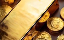 Thị trường ngày 21/11/2025: Giá vàng giảm sốc, xăng dầu giảm nhẹ