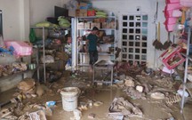 Khánh Hòa nỗ lực ổn định sau cơn lũ lụt lịch sử