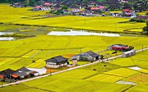 Mức thu tiền sử dụng đất khi chuyển đất nông nghiệp sang đất ở từ 1/1/2026