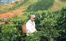 Việt Nam đi là ghiền - Mùa 4 - Tập 37: Từ đất đỏ cao nguyên đến tách cà phê mang hương núi rừng