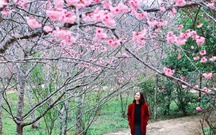 Điện Biên: 3 điểm check-in cực "hot" dịp năm mới