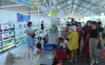 Tuần lễ giống, nông nghiệp công nghệ cao và sinh vật cảnh năm 2025 có gì?