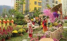 Người dân nô nức check-in đường hoa Xuân trước thềm Tết Nguyên đán 2026