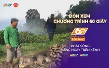 60 Giây ngày 29/1/2026 | An Giang: Nông dân trồng khoai mỡ lãi cao nhờ được bao tiêu đầu ra