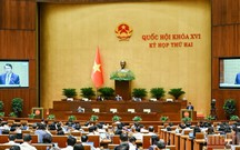 Quốc hội thảo luận dự án Bộ luật Hình sự (sửa đổi)