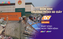TP. Hồ Chí Minh: Cây xanh bật gốc đè sập tường nhà dân | 60 Giây Sáng ngày 2/10/2026