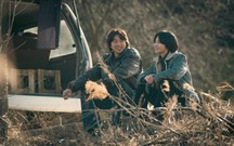Song Hye-kyo và Gong Yoo lần đầu hợp tác trong phim mới của Netflix ra mắt vào tháng 12