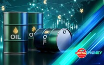 Bắt sóng thị trường 29/10/2026: Vàng miếng chạm 143 triệu đồng/lượng, giá dầu thế giới tăng | NewZMoney