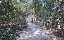 TP. Hồ Chí Minh chủ động phòng chống cháy rừng cao điểm mùa khô