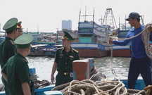 Lãnh đạo TP. Hồ Chí Minh kiểm tra tại các cảng cá