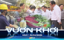 Vươn khơi - Ngày 1/4/2026 | Tiểu thương chủ động thích ứng trước sức mua giảm