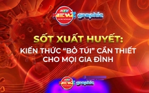 NewZgraphic: Sốt xuất huyết: Kiến thức “bỏ túi” cần thiết cho mọi gia đình