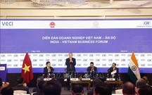 Tổng Bí thư, Chủ tịch nước Tô Lâm dự Diễn đàn doanh nghiệp Việt Nam - Ấn Độ