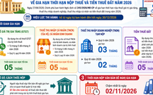 Cục Thuế yêu cầu triển khai ngay nghị định gia hạn thuế trên toàn quốc