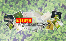 Việt Nam góc nhìn nơi hoang dã - Mùa 2: 10g30 Chủ nhật trên HTV7
