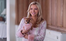 Lexi Minetree trở thành Elle Woods thế hệ mới trong loạt phim "Elle"