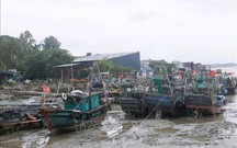 Khẩn trương ứng phó bão số 1, dồn lực bảo vệ người dân vùng nguy hiểm