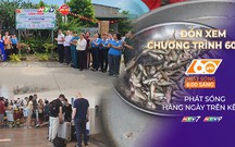 60 Giây Sáng ngày 26/8/2026 | TP. Hồ Chí Minh: Củ Chi ra mắt mô hình điểm tuyến đường 4.0 - Khu dân cư số văn minh, nghĩa tình