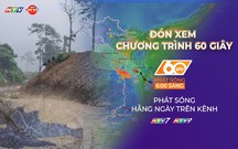 60 Giây Sáng ngày 13/9/2026 | Lâm Đồng: Rùa biển lên đảo Hòn Cau đẻ trứng