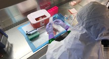 Congo: Mở phòng thí nghiệm giúp xác định nhanh virus Ebola