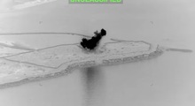 Mỹ tập kích trạm radar của Iran