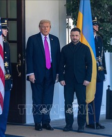 Tổng thống Mỹ và Ukraine bắt đầu hội đàm ở Mar-a-Lago