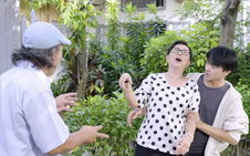 Lẹ không trễ tàu: Cơn sốt... thuốc bách bệnh