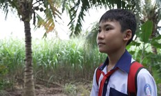 Mái ấm gia đình Việt: Nhựt Minh và nỗi lo sợ vì người thân bị bệnh tim bẩm sinh