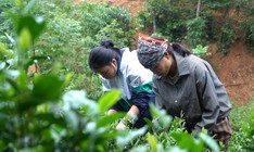 Em Hòa vượt nghịch cảnh, chăm mẹ và anh trai bệnh tâm thần - Mái ấm gia đình Việt