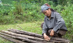 Mái ấm gia đình Việt - Tập 49: Điểm tựa của mẹ!