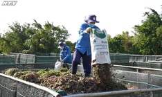 Cùng HTV Hành động xanh - Tập 23: Năng lượng xanh vì một tương lai xanh