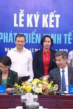 Thúc đẩy kinh tế thể thao Việt Nam từ hợp tác chiến lược