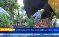 Sôi nổi thi đua chào mừng Đại hội Đảng bộ TP. Hồ Chí Minh