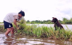Em Trọng Khang: Cậu bé mồ côi bắt ếch kiếm tiền phụ giúp bà