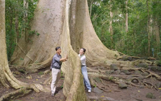 Việt Nam đi là ghiền - Mùa 4 - Tập 30: Vườn quốc gia Cát Tiên