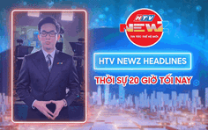 Tin tức nổi bật ngày 12/11/2025 có gì?