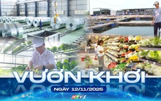 Vươn khơi - Ngày 12/11/2025 | Trục liên kết mới cho công nghiệp hỗ trợ vùng biển phía Đông