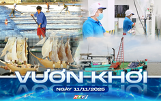Vươn Khơi - Ngày 11/11/2025 | TP. Hồ Chí Minh: Ngành nuôi trồng thủy sản tăng cao
