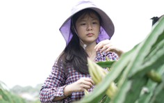 Giới thiệu Mái ấm gia đình Việt - 19g30 thứ Sáu hàng tuần trên HTV7