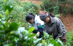 Em Hòa vượt nghịch cảnh, chăm mẹ và anh trai bệnh tâm thần - Mái ấm gia đình Việt